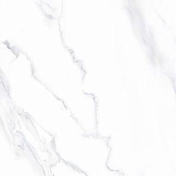 Calacatta Matt 80x80