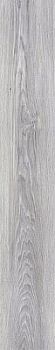 ASH AS/19,5X121,5/C/R
