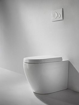 Унитаз приставной Bravat Gina C01011W-ENG с сиденьем микролифт