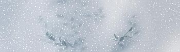 DEC.REBORN SKY B DEC.REBORN SKY B