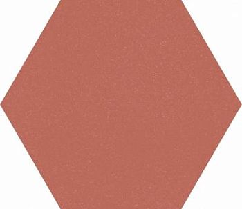 Aragosta Esa 21.6x25