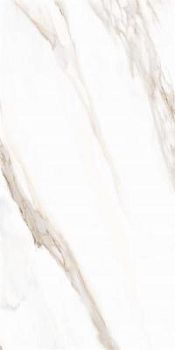 White Marble Calacatta Oro Rett 61x122.2