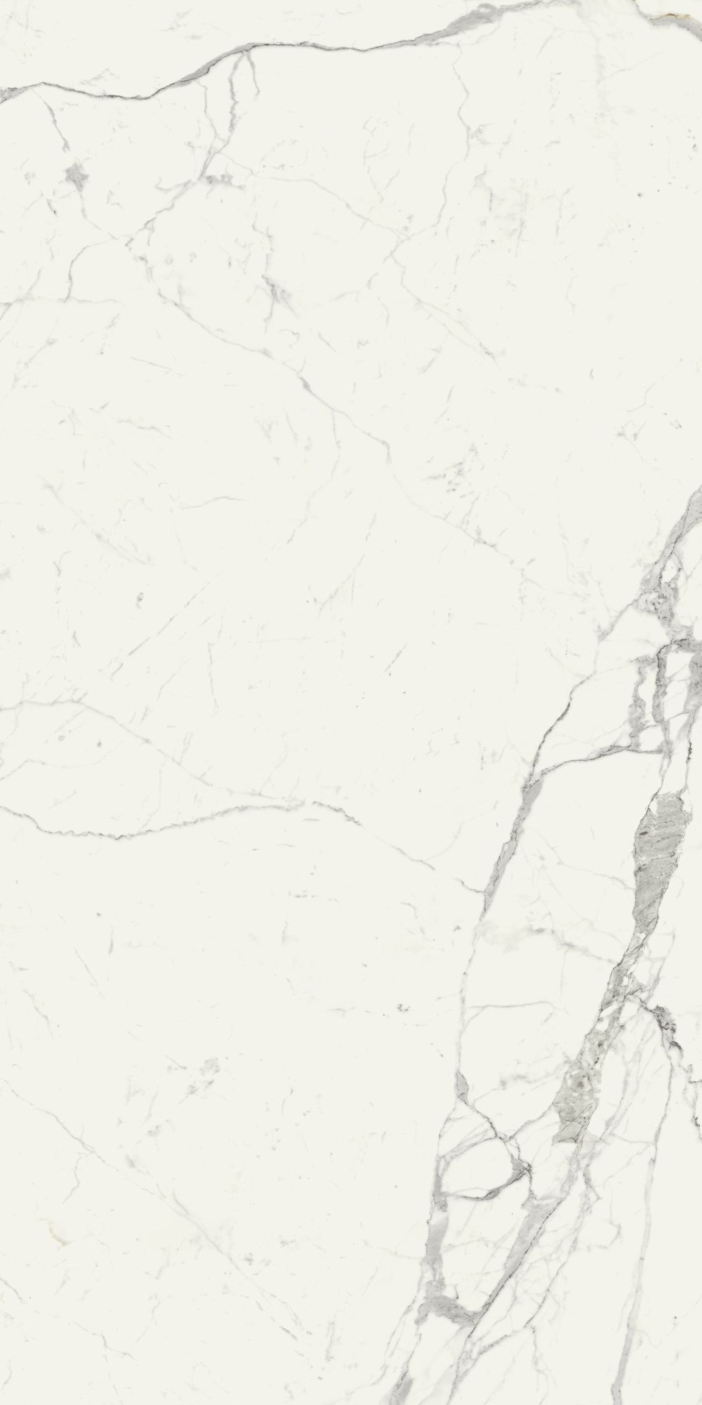 Керамогранит Grande Marble Look Statuario rett. 120х240 Керамогранит Grande Marble Look Statuario rett. 120х240