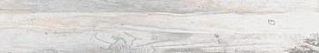 SP 00 19.4x120