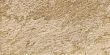 Beige Soft