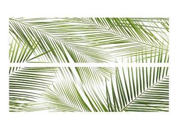 Tropic 50x75