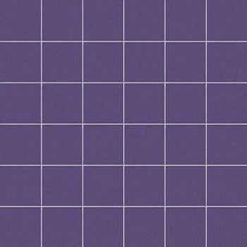 Viola Su Rete 10x10 30x30