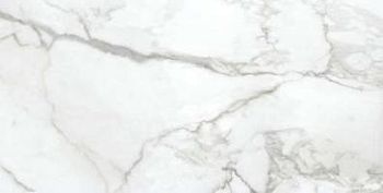 Icy White 60x120