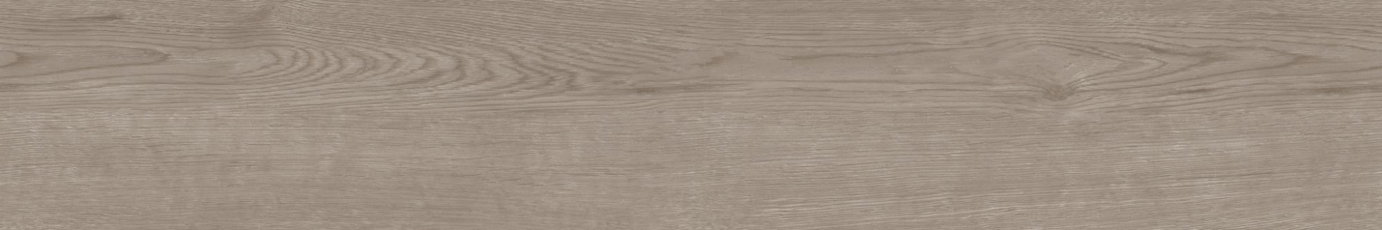 Керамогранит CW 02 19.4x120 Керамогранит CW 02 19.4x120