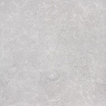 Grey 79.8x79.8