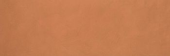 Керамогранит Color Now Curcuma 30.5x91.5
