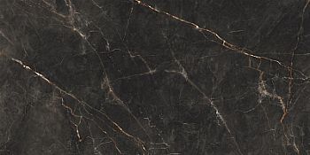 Керамогранит Shinestone Black Pol 119.8x239.8