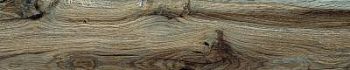 Soft Ash 20.5x100