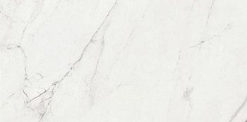 Керамогранит Nikea Natural 60x120