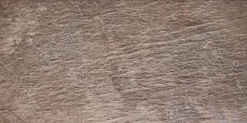Taupe Strong 30.5x60.5