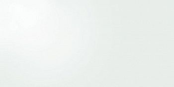 Керамогранит Manhattan Zeus White Gloss 49.1x98.2