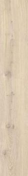 MAPLE AS/19,5X121,5/C/R