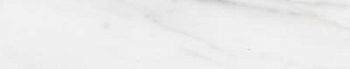 Calacatta Strip 9.8x50.05