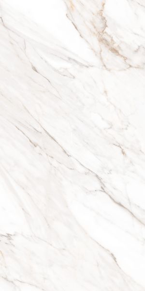 Calacatta Gold Satin 60x120