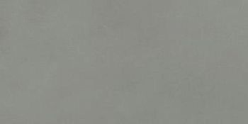 Salvia Strideup 60x120 Salvia Strideup 60x120