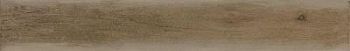 Beige Outdoor 10x70
