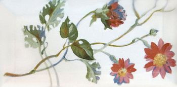 Decor 5 Biselado Blanco Single