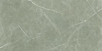 Taupe Pulido 60x120