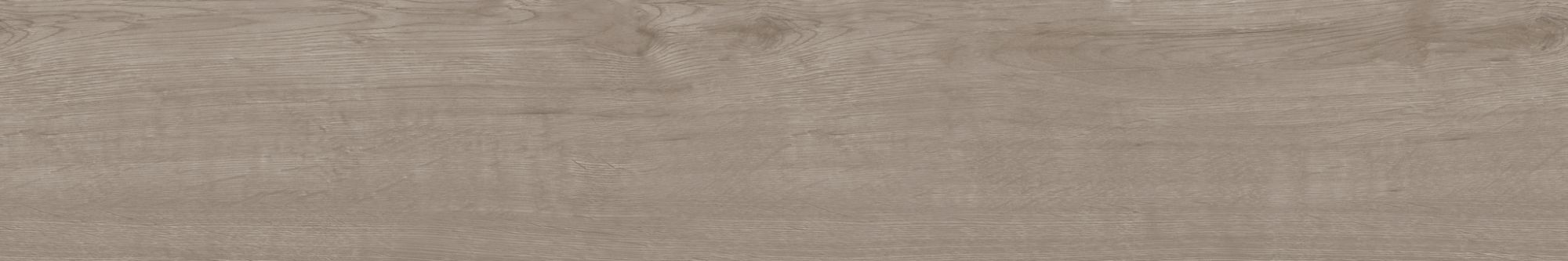 Керамогранит CW 02 19.4x120 Керамогранит CW 02 19.4x120