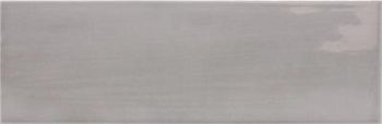 Silver 6,5x20