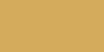 Fortune Matt 60x120