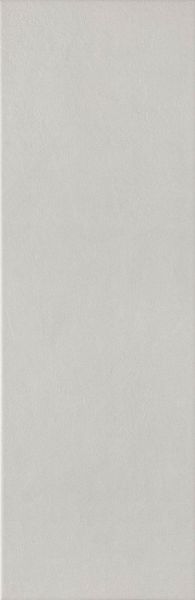 Плитка Chalk Grey 25х76