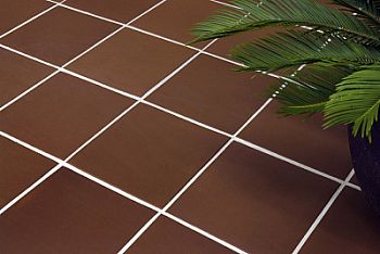 New Cadi Xocolat New Cadi Xocolat