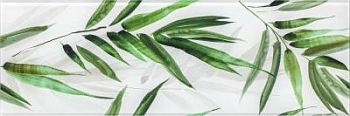Glass Tropic B 25x75