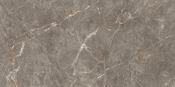 Керамогранит Shinestone Grey Pol 119.8x239.8