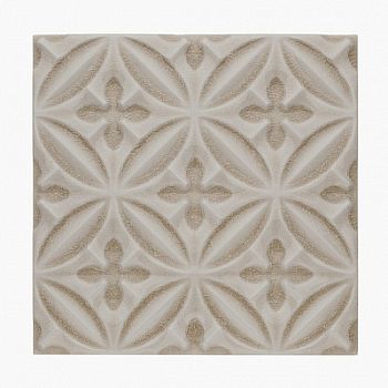 Relieve Caspian Sand Dollar