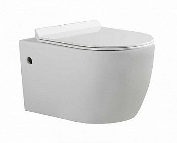 Унитаз подвесной Bravat Gina C21172UW-ENG безободковый с сиденьем микролифт