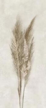 Deco Solutions Pampa Faccia B 120x278