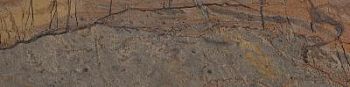 Fossil Brown Malevich Naturale 7.5x30