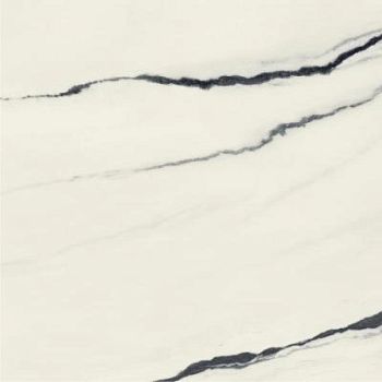 Panda White Rett 80x80