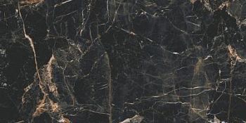 Polished 59.7x119.7