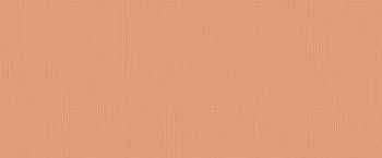 Orange 50x120