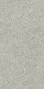 Стоун Сильвер 60х120