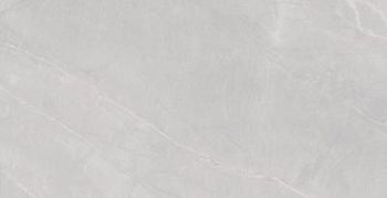 Armani Light Grey Matt 60x120