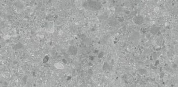 Gris Sand Coloured Body 60x120