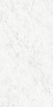 Bianco Carrara Silk 60x120