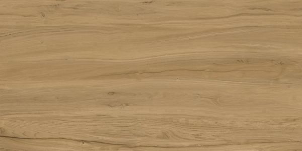 Alleya Brown 60x120