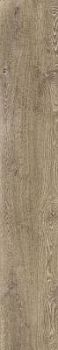 Noce 25x150