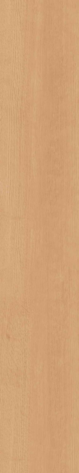 Керамогранит CW 04 19.4x120 Керамогранит CW 04 19.4x120