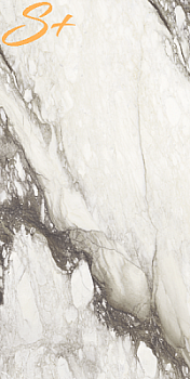 MAGNUM Renoir GLOSSY