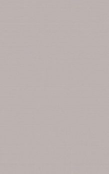 Плитка Monica taupe 25х40